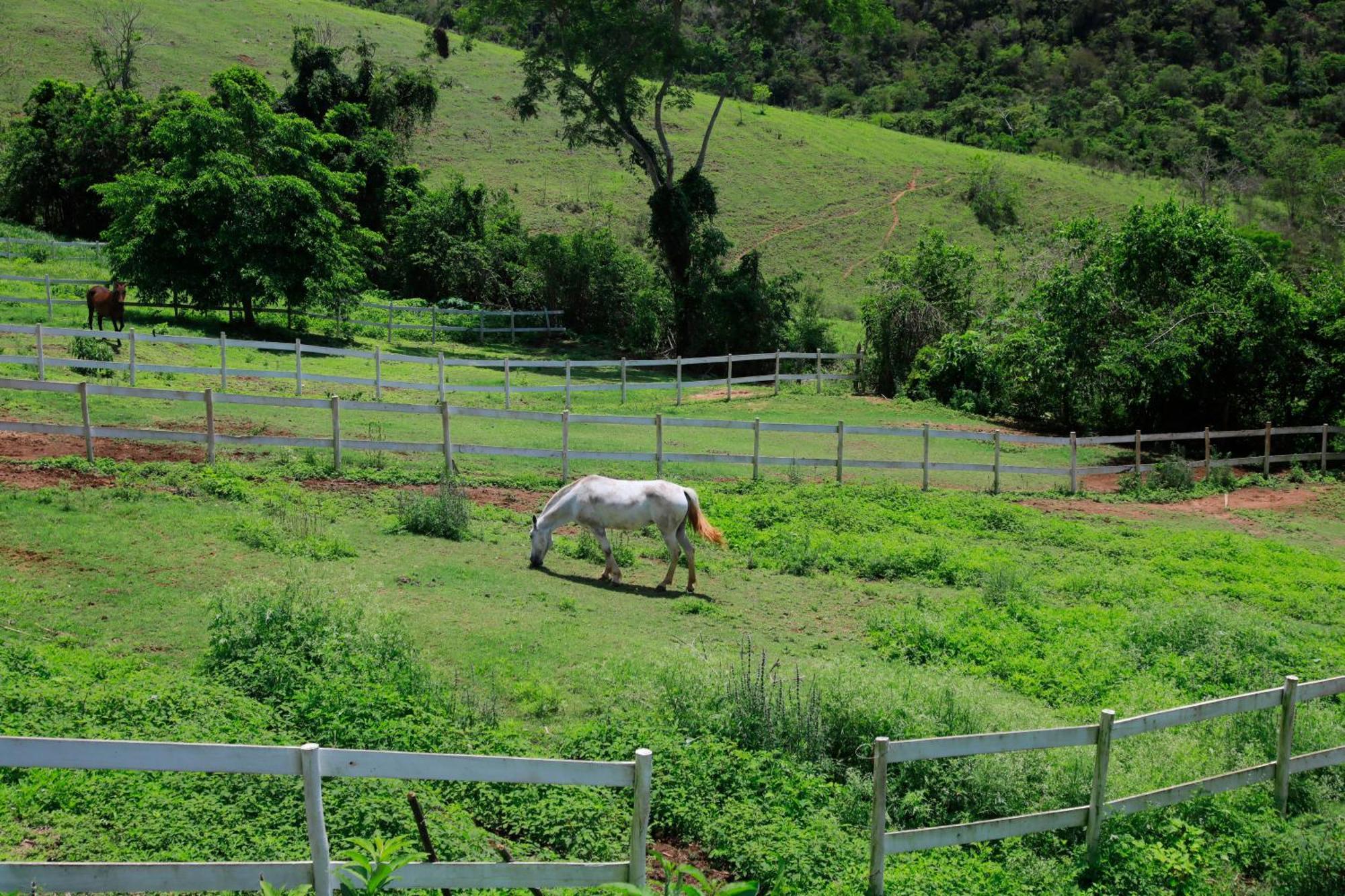 Holiday home Secretario Petropolis (Rio de Janeiro)